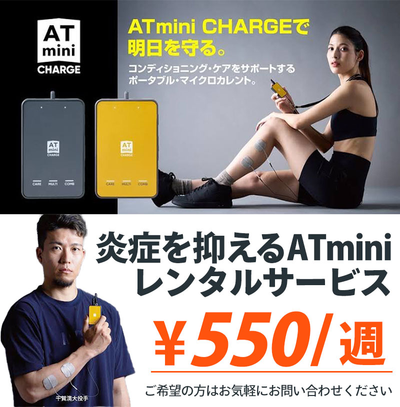 炎症を抑えるATminiレンタルサービス